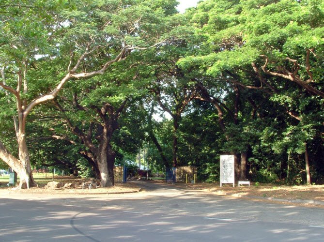 Fruit Spirit Botanical Gardens, Australia